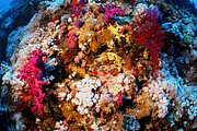 2011-09-14_12-00-22_bde