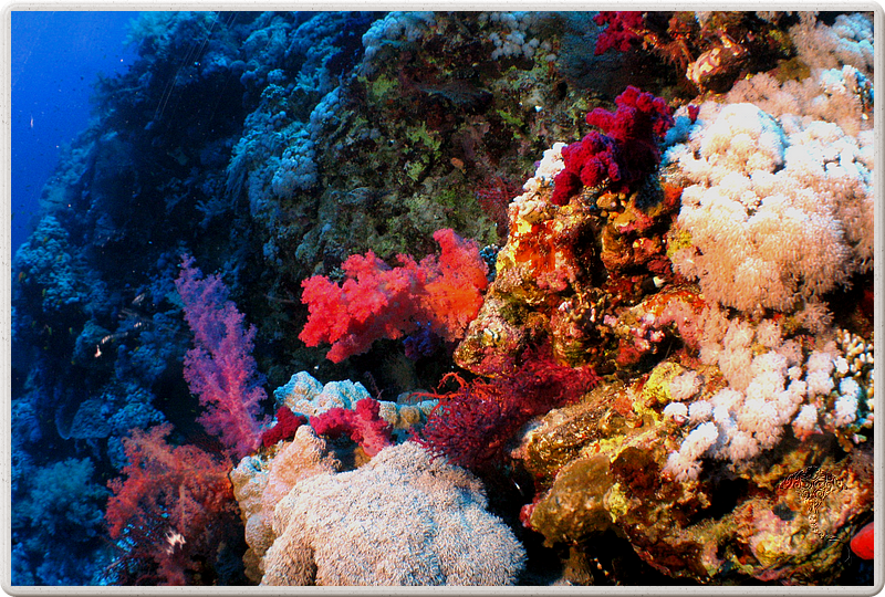 2011-09-14_12-02-29_bde