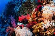 2011-09-14_12-02-29_bde