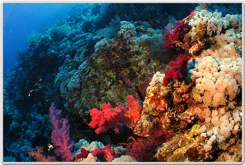 2011-09-14_12-02-42_bde