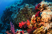 2011-09-14_12-02-42_bde