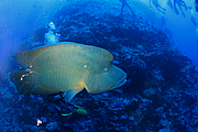 2011-09-14_12-11-41_bde