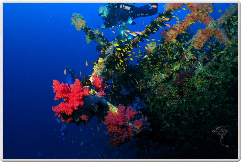 2011-09-15_07-37-29_bde