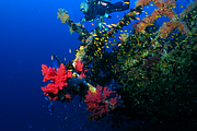2011-09-15_07-37-29_bde