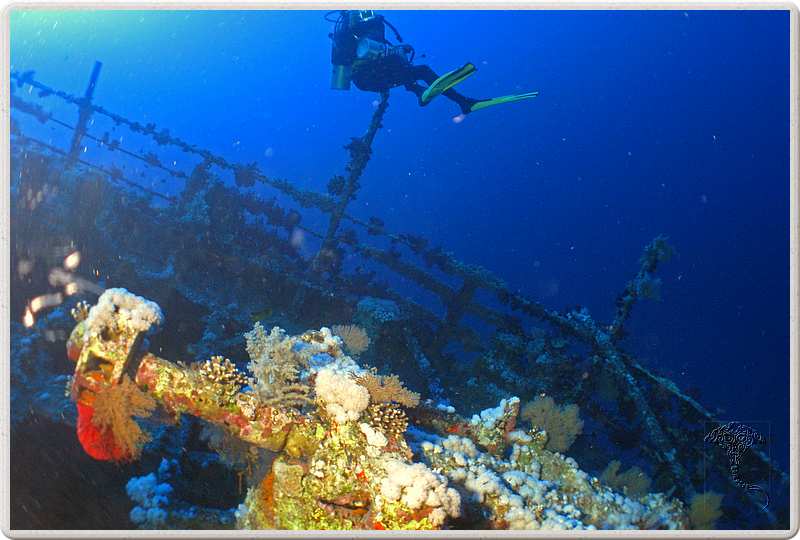 2011-09-15_07-41-01_bde
