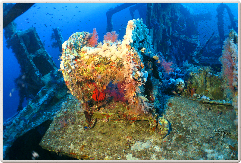 2011-09-15_07-44-14_bde