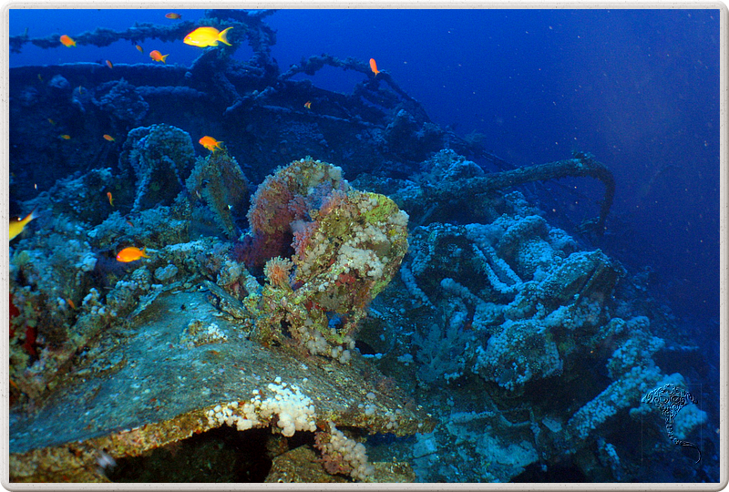 2011-09-15_07-45-55_bde