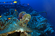 2011-09-15_07-45-55_bde