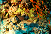 2011-09-15_11-10-44_bde