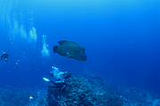 2011-09-15_11-13-20_bde