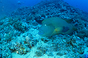 2011-09-15_11-23-51_bde