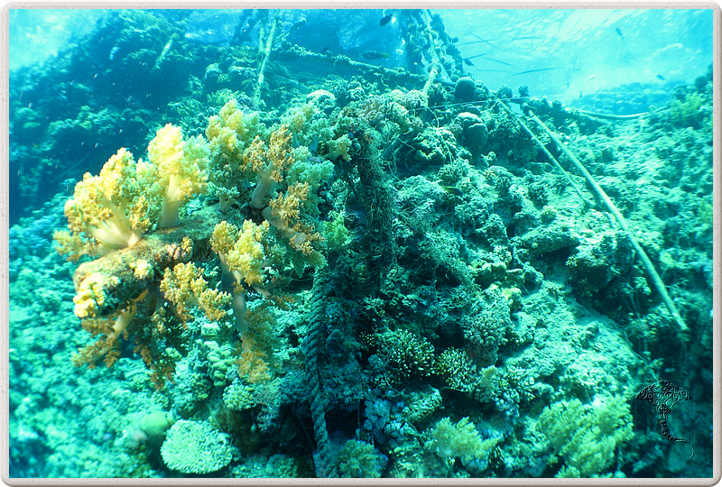 2011-09-15_11-46-07_bde