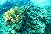 2011-09-15_11-46-07_bde