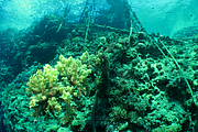 2011-09-15_11-46-35_bde