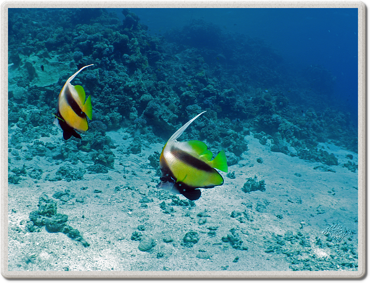 2011-09-11_10-09-08_bde