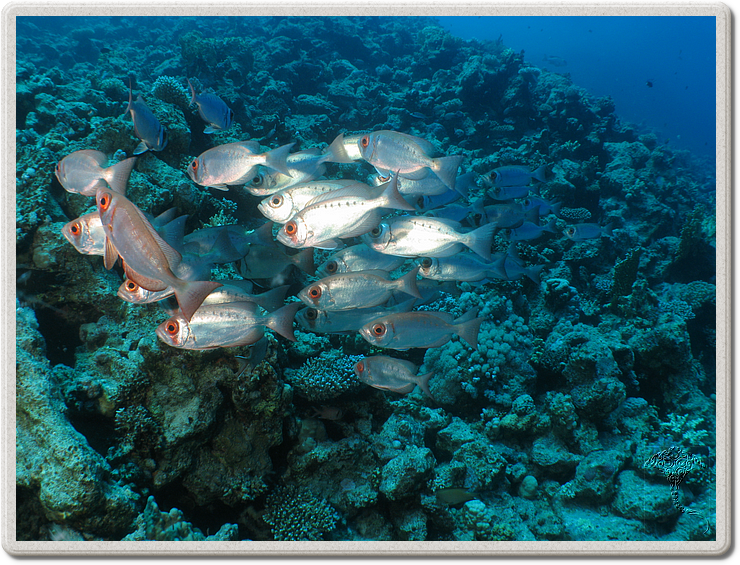 2011-09-11_10-50-52_bde