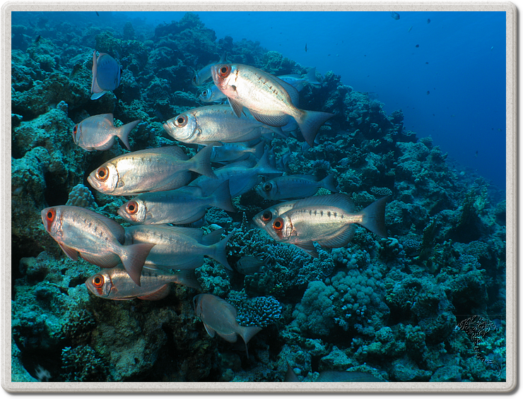 2011-09-11_10-51-23_bde