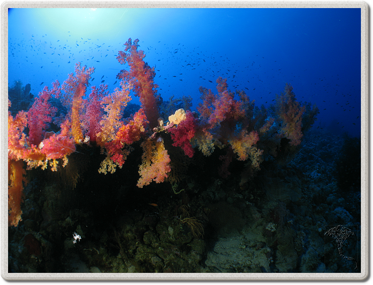 2011-09-11_15-19-10_bde