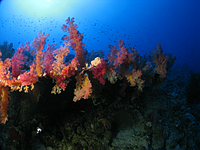 2011-09-11_15-19-10_bde