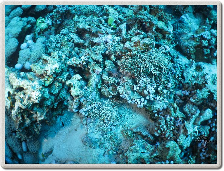 2011-09-11_15-41-38_bde