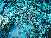 2011-09-11_15-41-38_bde