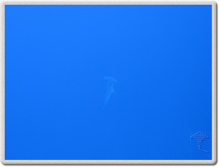 2011-09-12_07-43-24_bde