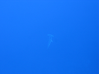 2011-09-12_07-43-24_bde