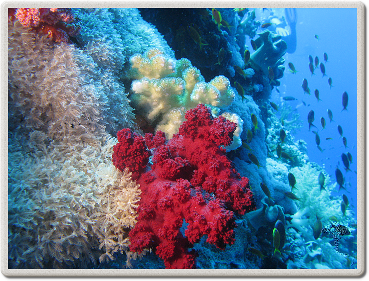 2011-09-12_11-53-27_bde