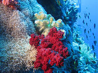 2011-09-12_11-53-27_bde