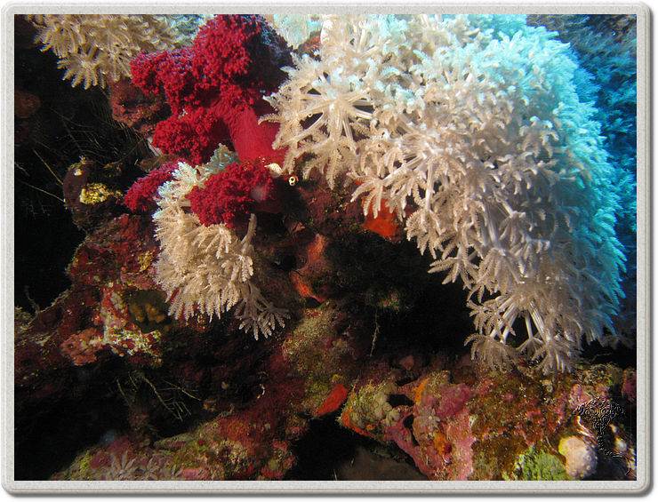 2011-09-12_11-53-59_bde