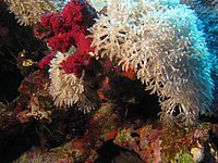 2011-09-12_11-53-59_bde