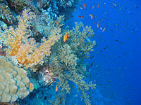 2011-09-12_16-30-12_bde