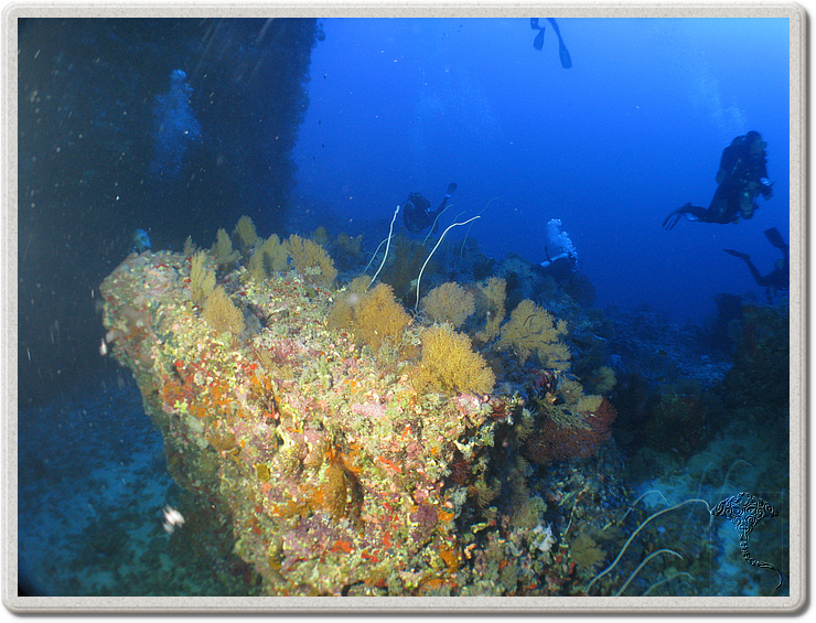 2011-09-13_07-07-48_bde