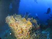 2011-09-13_07-07-48_bde