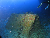 2011-09-13_07-09-15_bde