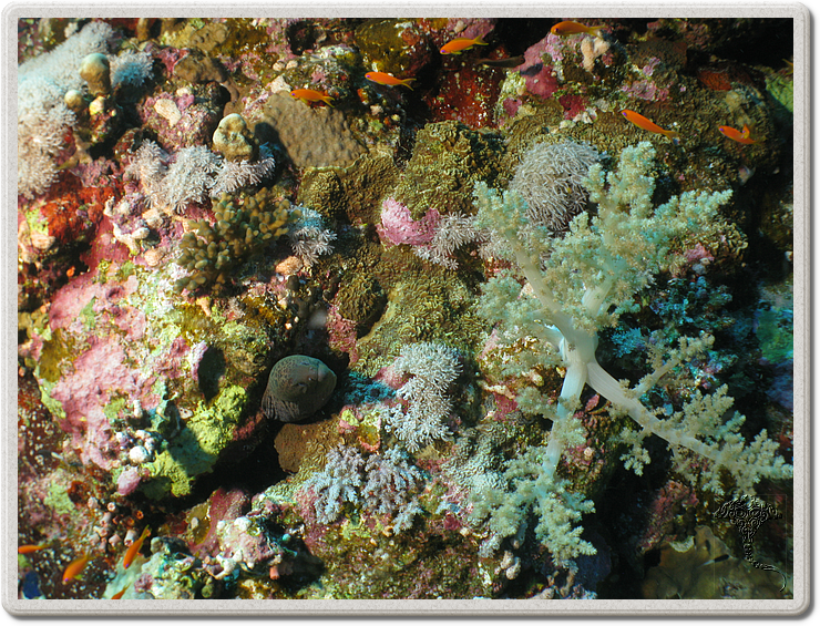 2011-09-13_07-43-12_bde