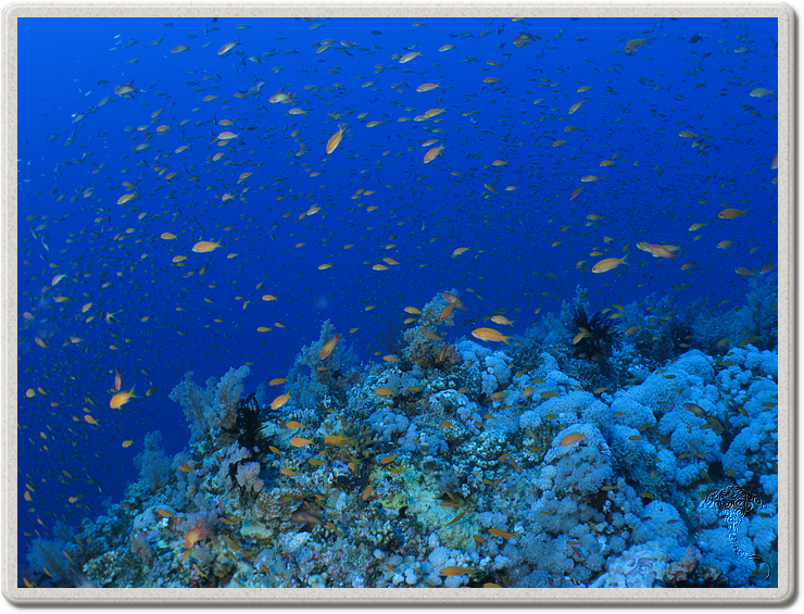 2011-09-13_11-34-42_bde