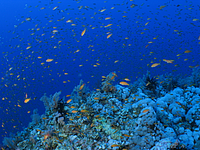 2011-09-13_11-34-42_bde