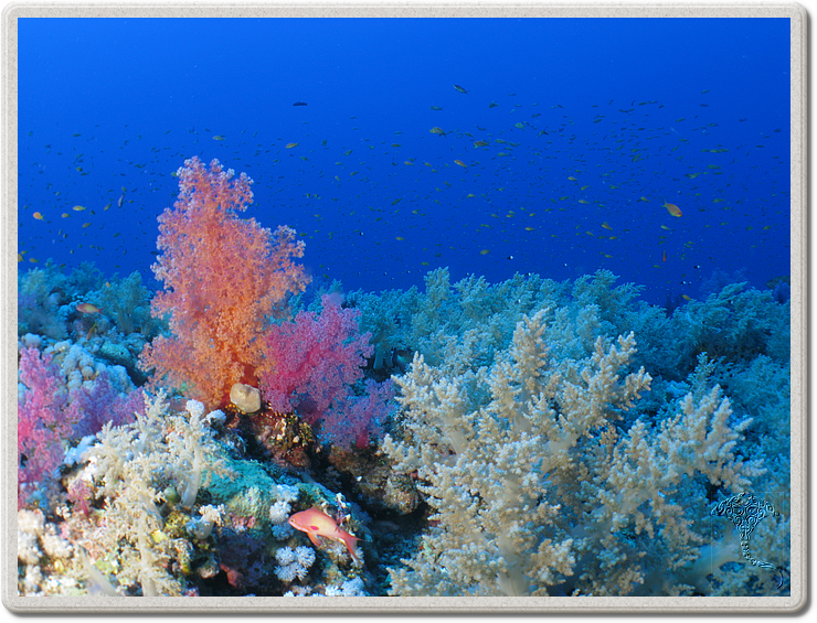 2011-09-13_11-46-13_bde