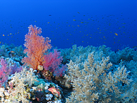 2011-09-13_11-46-13_bde