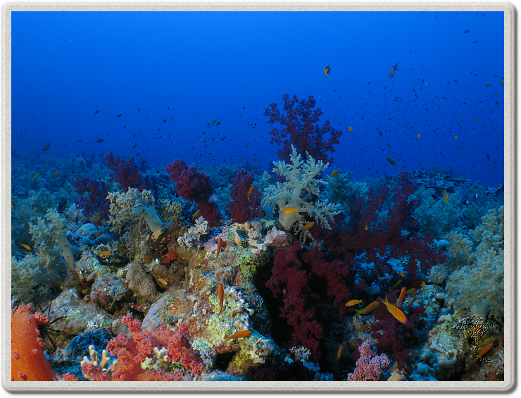 2011-09-13_11-47-51_bde