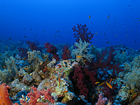 2011-09-13_11-47-51_bde