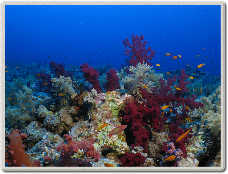 2011-09-13_11-48-11_bde