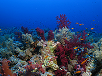 2011-09-13_11-48-11_bde