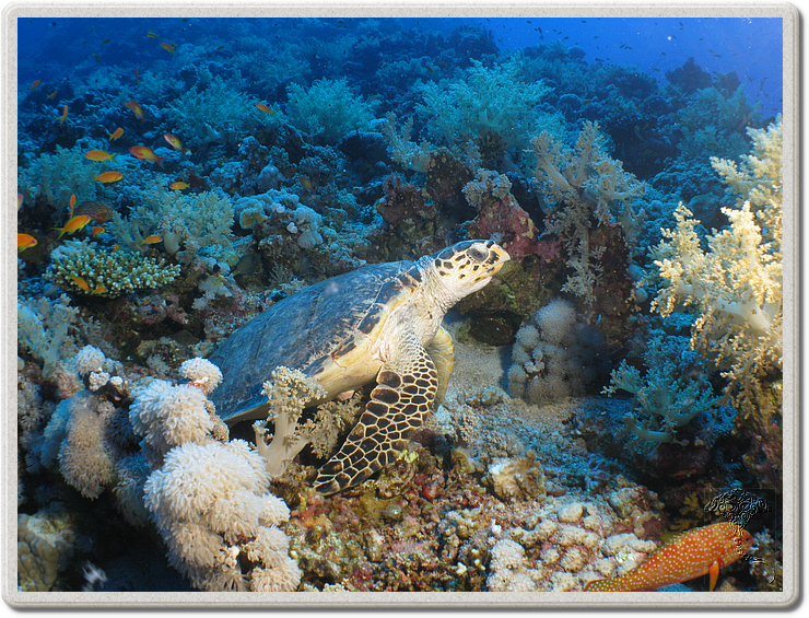 2011-09-13_11-52-42_bde