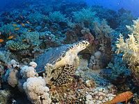 2011-09-13_11-52-42_bde