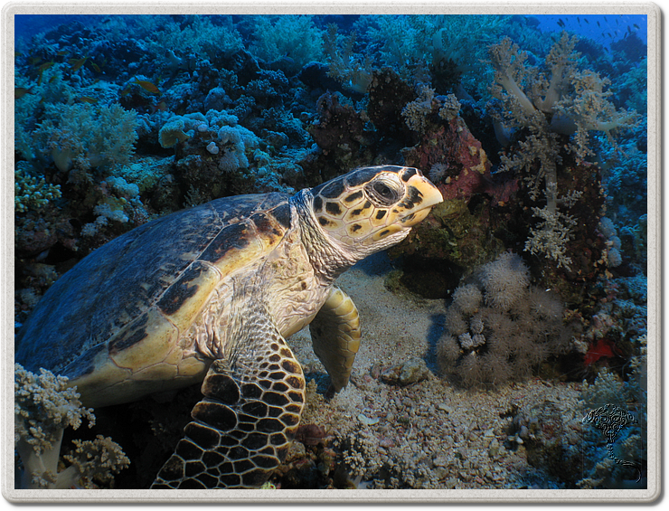 2011-09-13_11-53-18_bde