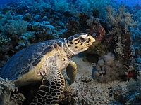 2011-09-13_11-53-18_bde