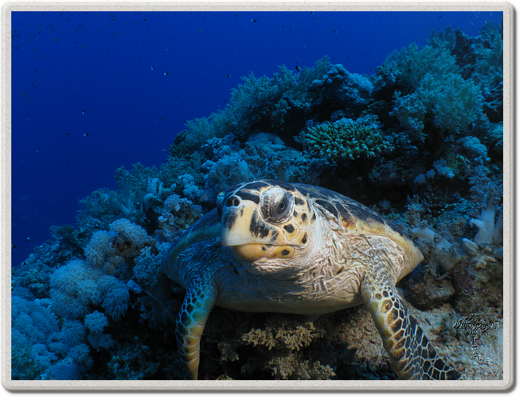 2011-09-13_11-53-48_bde