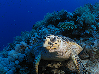 2011-09-13_11-53-48_bde